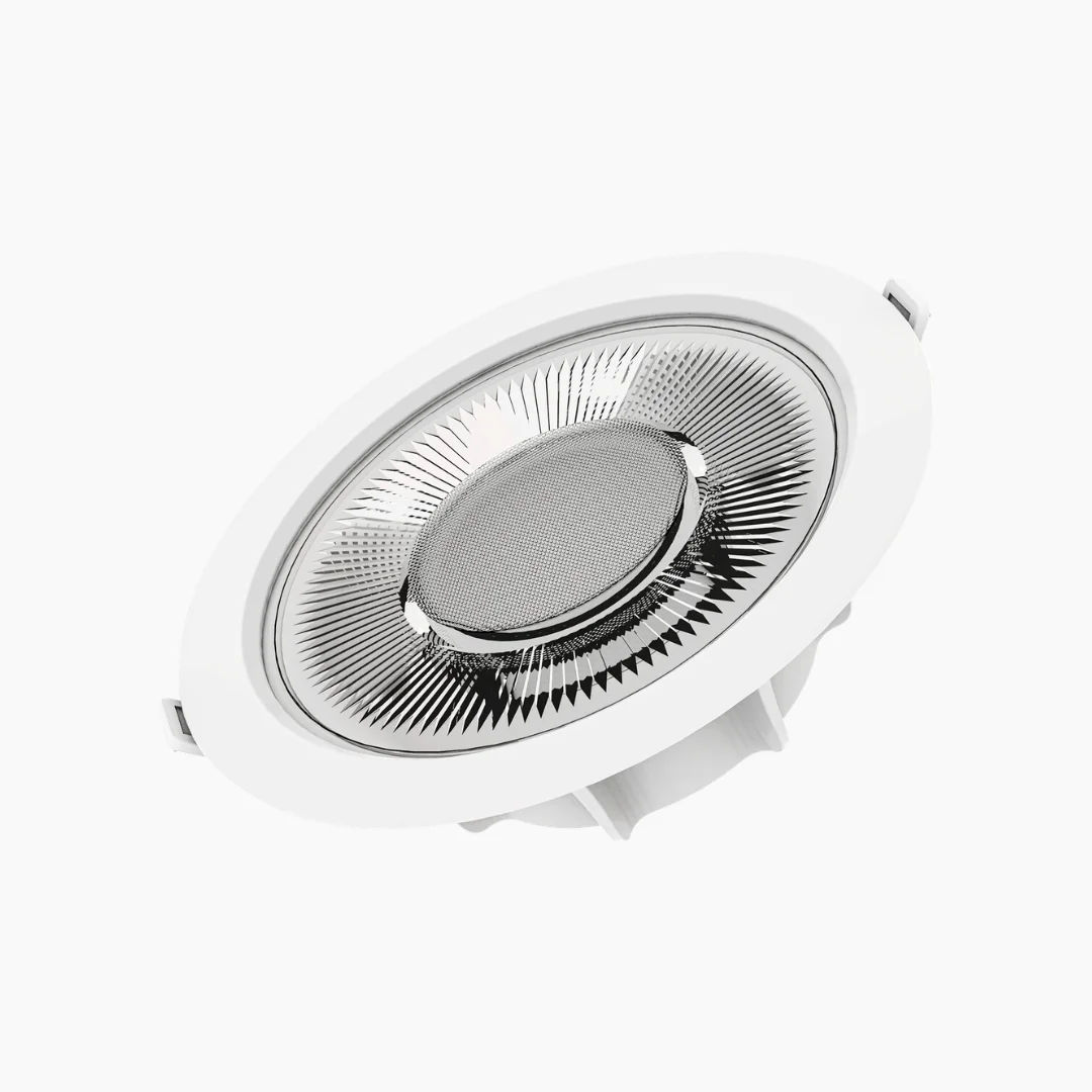 Eco Spotlight - Image 4
