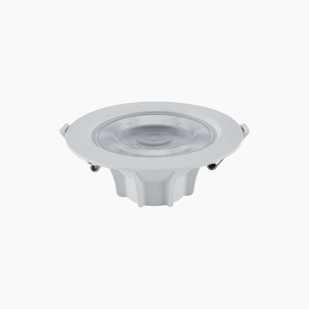 Eco Spotlight - Image 2