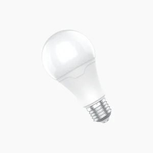 EcoBright Bulb